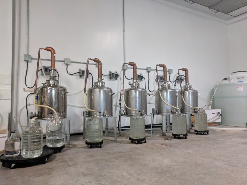 New Orleans: Guided Rum Distillery Tour and Tasting - Price and value: is $15 worth it?