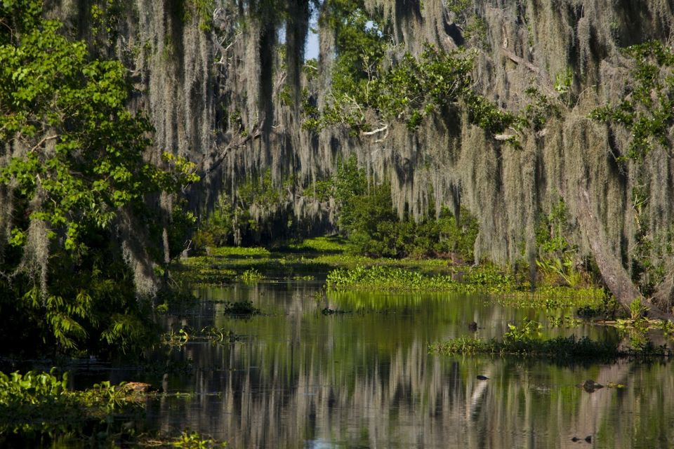 New Orleans: High Speed 16 Passenger Airboat Ride - What Makes This High-Speed Airboat Ride Worth Your Time