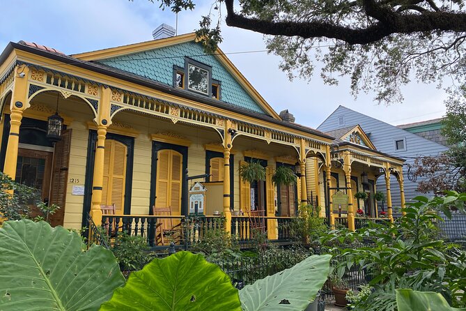 New Orleans: Highlights of the French Quarter - City Park highlights: Spanish moss views, the Tree of Life, and the Botanical Garden