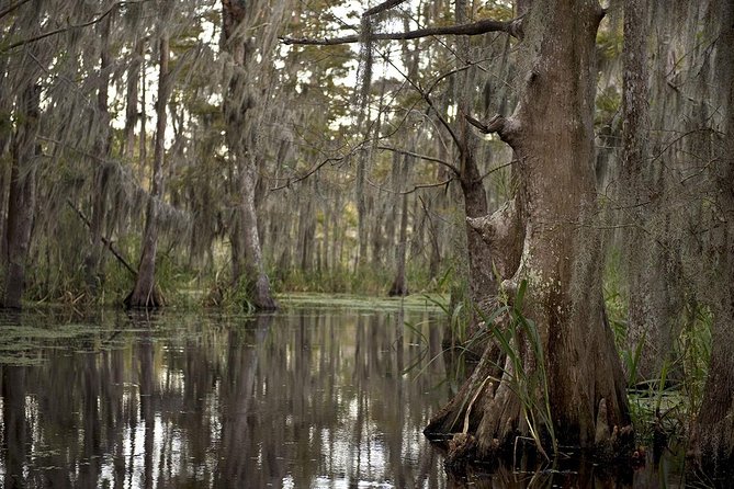 New Orleans Large Airboat Swamp Tour - Group size and comfort: why the 16-passenger limit matters