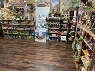 New Orleans Manchac Bayou Swamp Cruise W/ Optional Pick-Up - What to Bring (and What to Leave Behind)