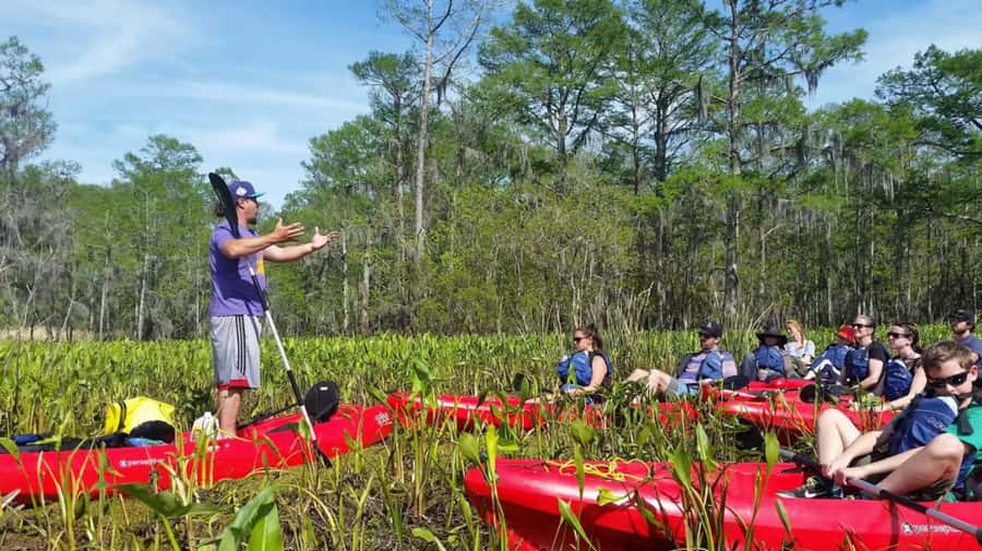 New Orleans: Manchac Swamp Wildlife Kayaking Tour - Why the Manchac Swamp Kayak Experience Feels Real