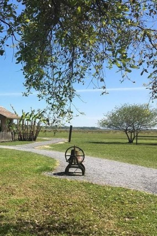 New Orleans: Oak Alley & Laura Plantation Tour w/Transport - Oak Alley Meets Laura Plantation: two lessons in one Louisiana day