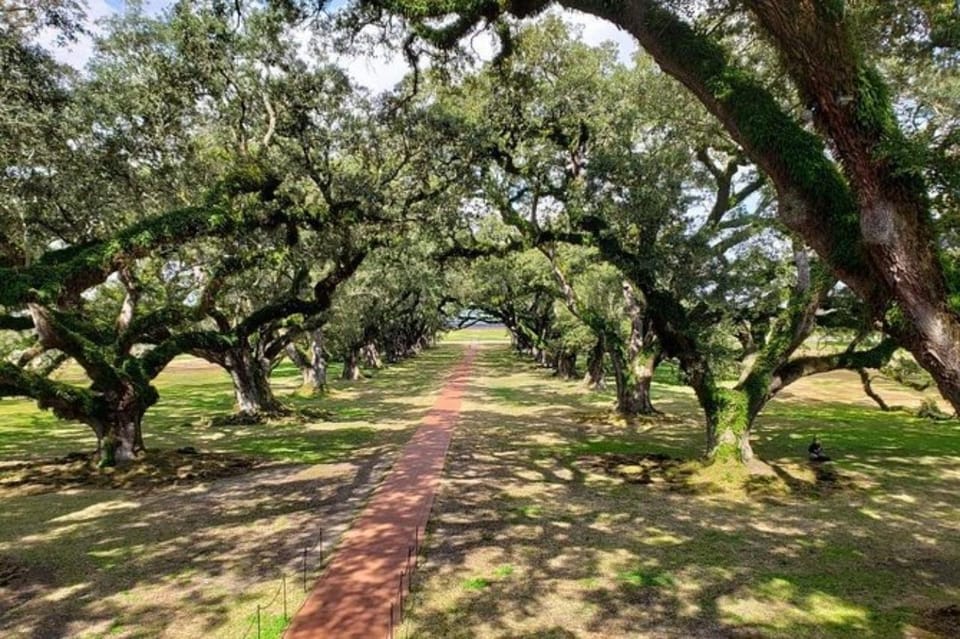 New Orleans: Oak Alley & Laura Plantation Tour w/Transport - French Quarter pickup and the ride along Great River Road