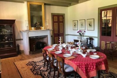 New Orleans: Oak Alley & Laura Plantation Tour w/Transport - Price and what $111 covers (transport plus admission)