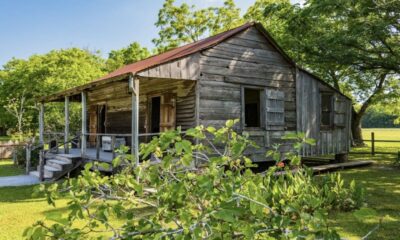 New Orleans: Oak Alley or Laura Plantation & Airboat Tour - Plantation country first: why you start with the houses