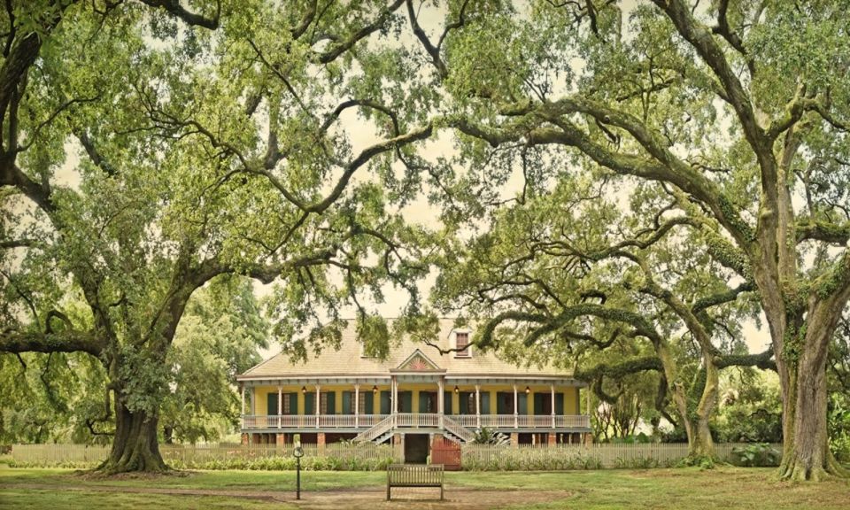 New Orleans: Oak Alley or Laura Plantation & Airboat Tour - Ragin Cajun airboat on private property: wildlife, hearing protection, and small-group attention