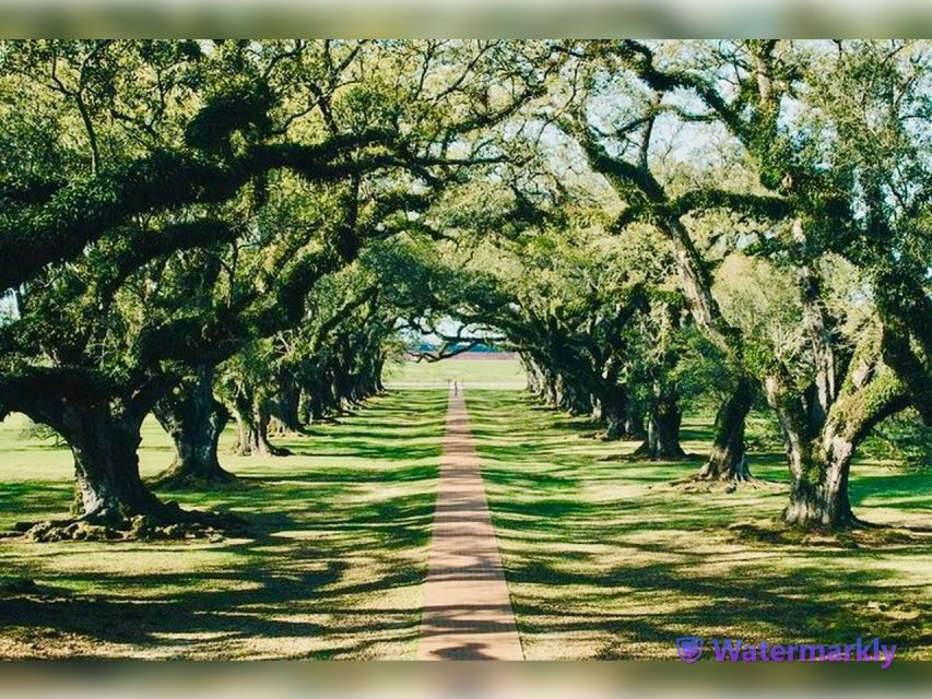 New Orleans: Oak Alley Plantation and Katrina City Tour - A full-day rhythm: Oak Alley first, then Katrina context in New Orleans