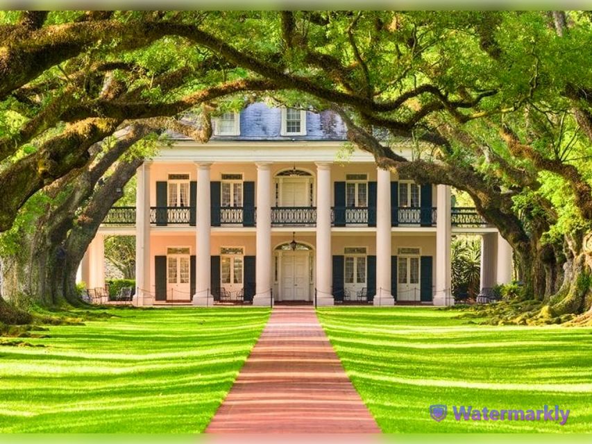 New Orleans: Oak Alley Plantation and Katrina City Tour - Oak Alley Plantation: the oak-lined entrance and Greek Revival house