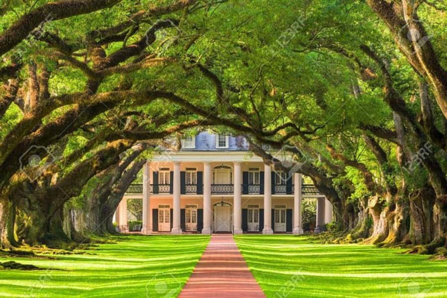 New Orleans: Oak Alley Plantation Tour and Airboat Tour - Getting There From New Orleans: Pickup, Timing, and the 70-Mile Drive