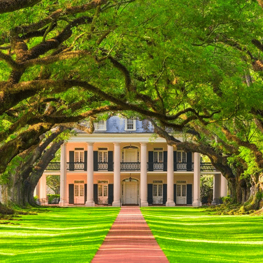 New Orleans: Oak Alley Plantation Tour and Transportation - What to bring, what to wear, and how not to get cranky