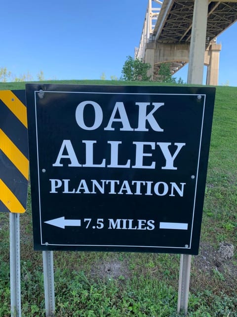 New Orleans: Oak Alley Plantation Tour and Transportation - Who this plantation tour suits best