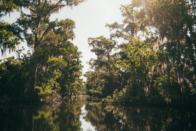 New Orleans Premium Six-Passenger Airboat Adventure - Should you book the New Orleans Premium Six-Passenger Airboat Adventure?
