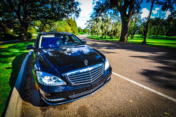 New Orleans Private Vehicle City Tour - City Park and the live oak grove: shade, scale, and a calmer pace