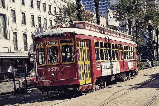 New Orleans Private Vehicle City Tour - Garden District: streetcar roots and antebellum house-lined streets