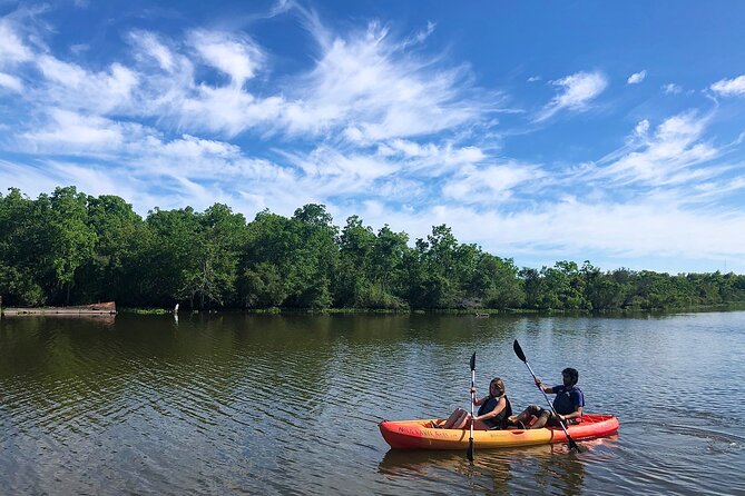 New Orleans Self-Guided Kayak Bayou Swamp Tour - Key Points I’d Use to Plan Your Trip