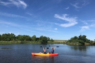 New Orleans Self-Guided Kayak Bayou Swamp Tour - The Water You’ll Paddle: Bayou Sauvage’s Calm, Wildlife-Friendly Feel
