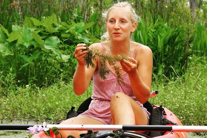 New Orleans Self-Guided Kayak Bayou Swamp Tour - Timing: How Long It Takes and How to Pick the Best Day