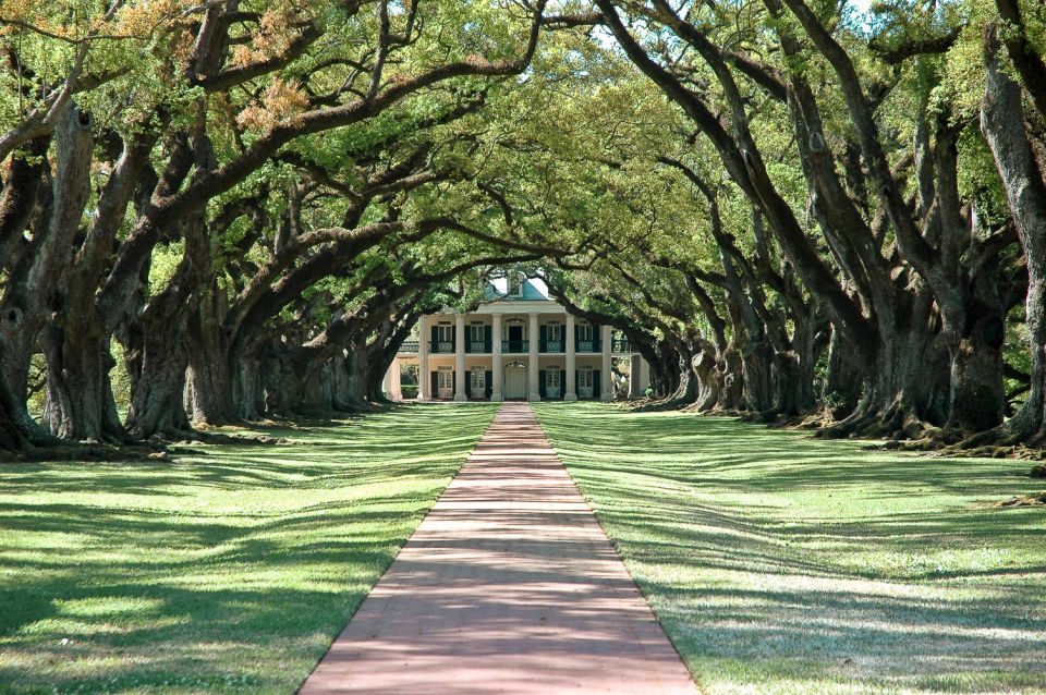 New Orleans: Single Plantation and Pontoon Swamp Day Trip - Key reasons this day trip works so well