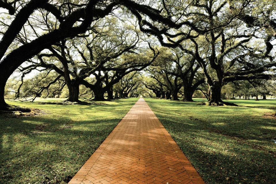 New Orleans: Single Plantation and Pontoon Swamp Day Trip - Should you book the N’awlins Luxury Tours plantation and swamp day trip?