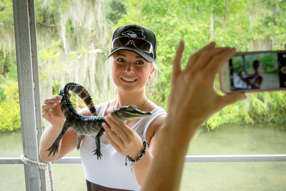New Orleans: Swamp & Bayou Boat Tour with Transportation - Cajun joie de vivre, seafood context, and what you get for food