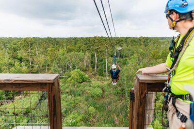 New Orleans: Swamp Zipline Tour - Getting There: Frenier, Lake Ponchartrain, and Hotel Transfers