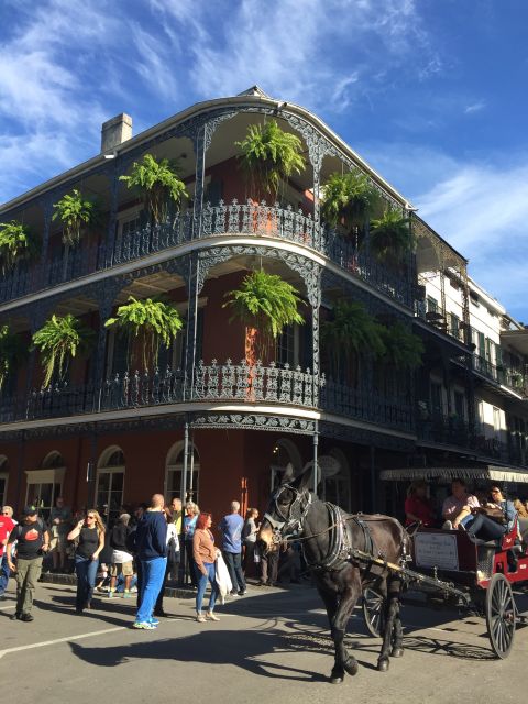 New Orleans: Traditional City and Estate Tour - A 4-hour sweep that keeps you moving, but not rushed