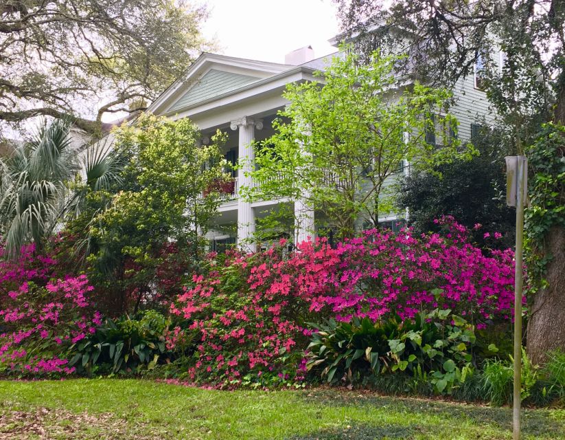 New Orleans: Traditional City and Estate Tour - Who this tour suits best (and who should be cautious)
