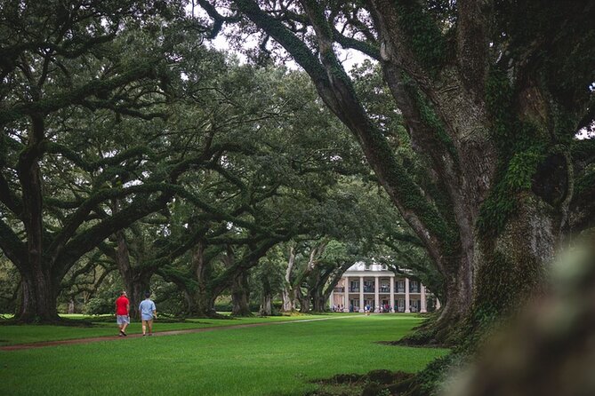 New Orleans Walking Tour: Garden District Stories - Practical tips so the walk is comfortable