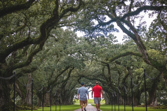 New Orleans Walking Tour: Garden District Stories - Who should book this tour (and who might prefer something else)
