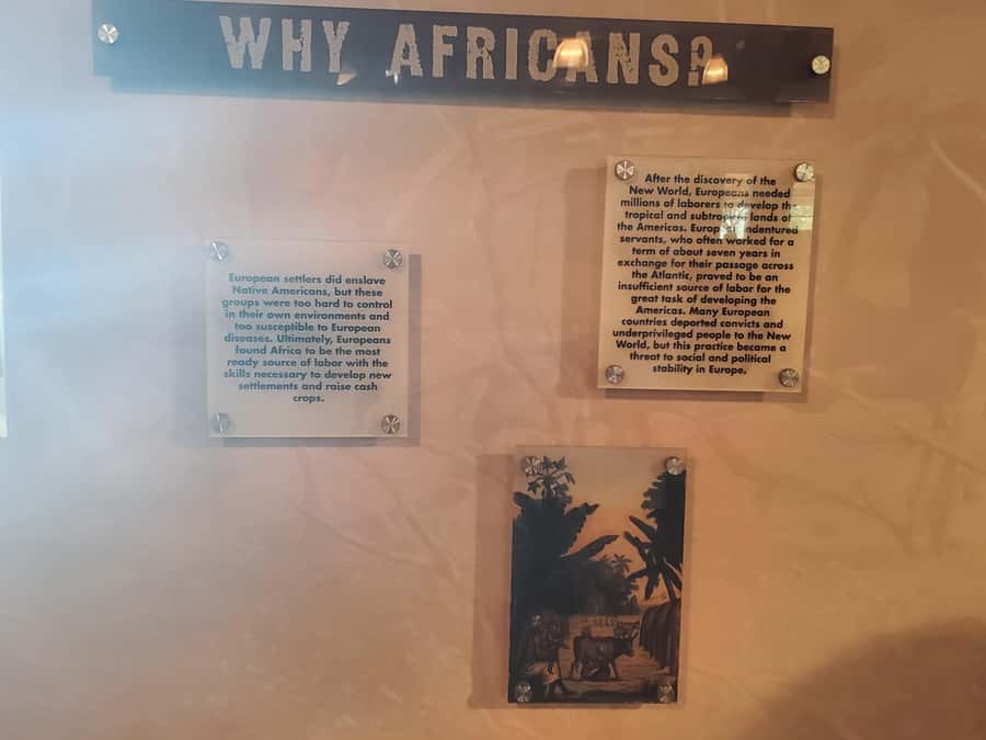New Orleans: Whitney Plantation Half-Day Tour (Guided Tour) - Quick hits you’ll feel on the drive