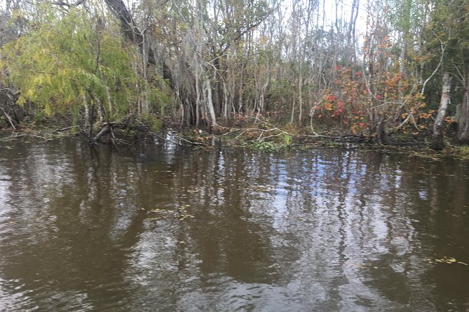 Oak Alley Plantation and Airboat Combo Tour by Bus - The Airboat Swamp Tour: Wildlife, Delays, and What to Watch For
