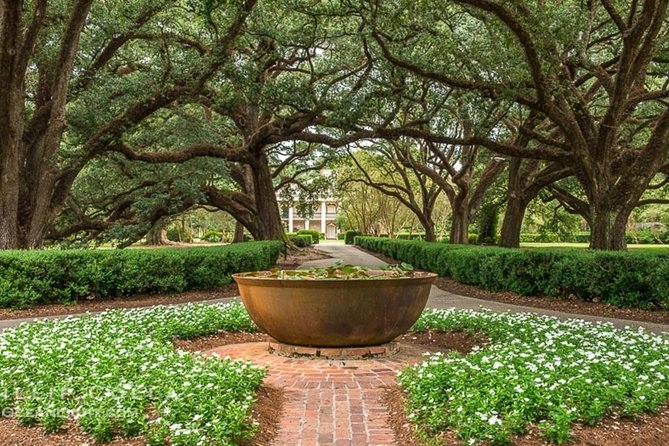Oak Alley Plantation and Small Airboat Tour from New Orleans - Oak Alley Plantation: live oaks, a guided house tour, and your free hour