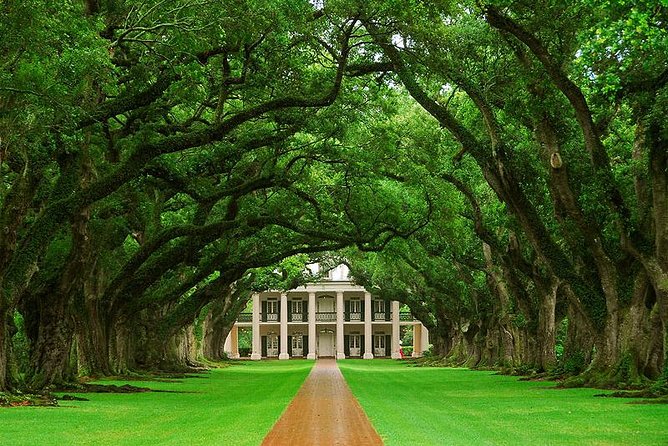 Oak Alley Plantation and Swamp Boat Tour from New Orleans - Pickup and road time: how to avoid the most common frustrations