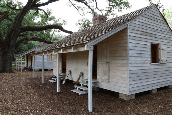 Oak Alley Plantation Tour with Pickup from New Orleans - What the ride gives you (besides transportation)