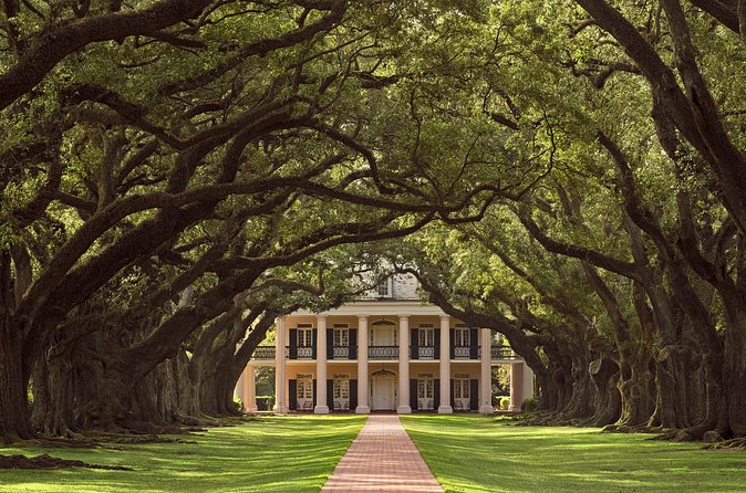 Oak Alley Plantation Tour with Pickup from New Orleans - Oak Alley Plantation: plan your time on the grounds