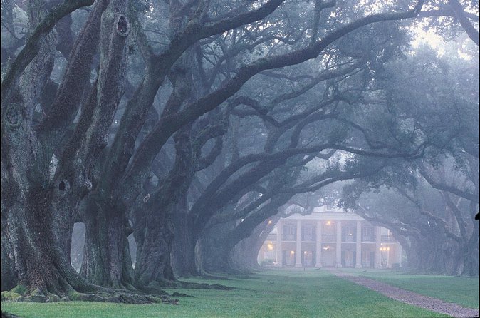 Oak Alley Plantation Tour with Pickup from New Orleans - The ride back: Bonnet Carre Spillway Bridge and Lake Pontchartrain views