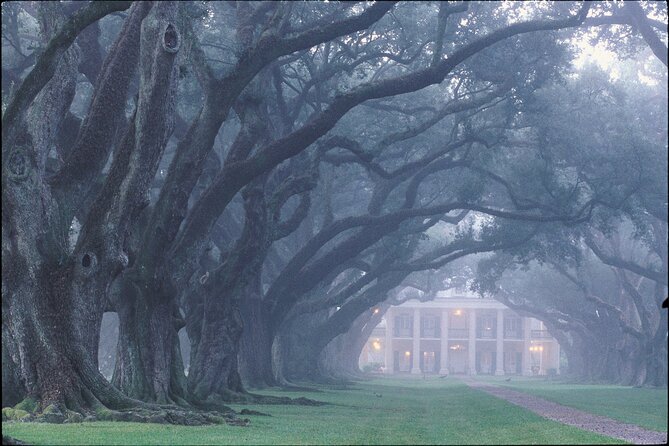 Oak Alley Plantation Tour with Pickup from New Orleans - Price and value: what $86.70 really covers