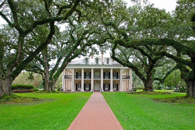 Oak Alley Plantation Tour with Transportation - The Oak Tunnel Makes This More Than a Museum Visit