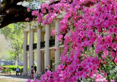 Oak Alley Plantation Tour with Transportation from New Orleans - The Guided House Tour: What You’ll Actually Spend Time Doing