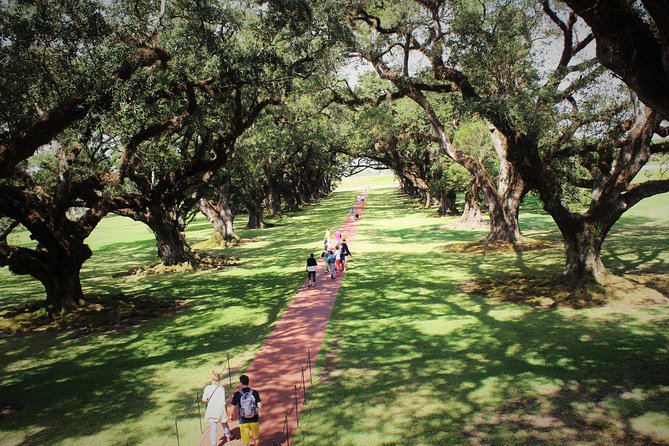 Oak Alley Plantation Tour with Transportation - New Orleans Pickup at 10:00am: The Day Trip Reality Check