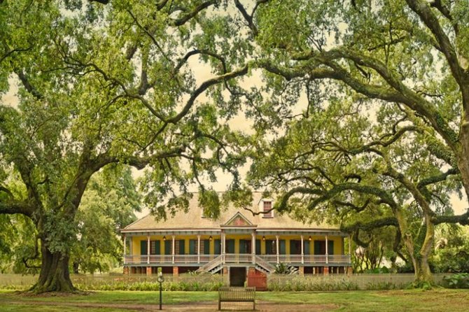 Private Airboat Ride and Plantations Tour with Gourmet Lunch from New Orleans - Laura Plantation: Creole heritage, sugarcane views, and guided detail