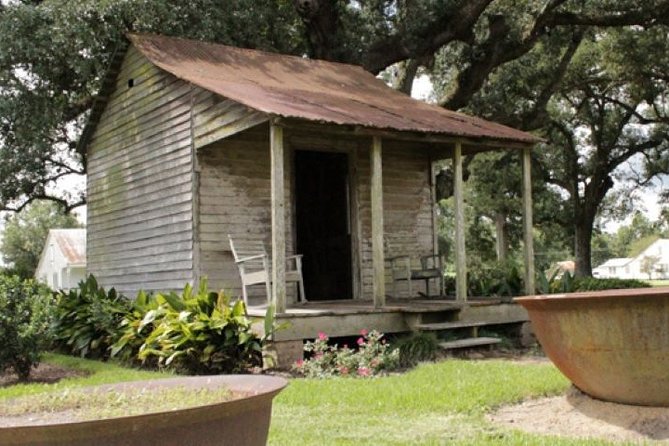 Private Airboat Ride and Plantations Tour with Gourmet Lunch from New Orleans - What to expect from wildlife: fun ride first, gators as the focus