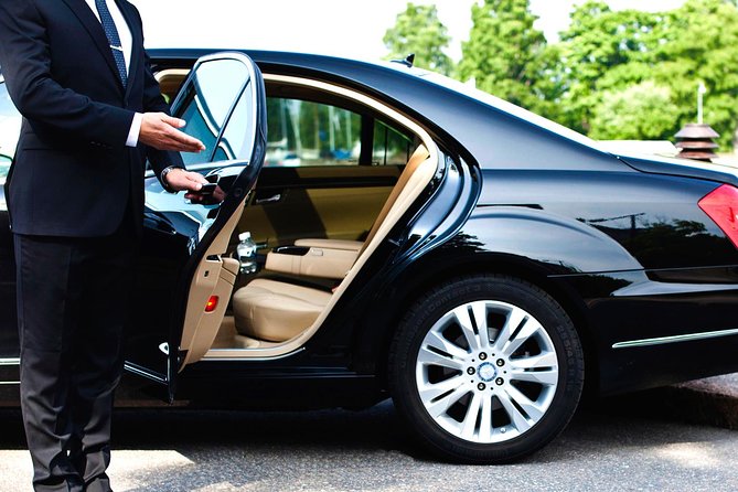 Private Chauffeured and Historian Guided City Tour of New Orleans - Why this private historian tour is good value (even at $750)