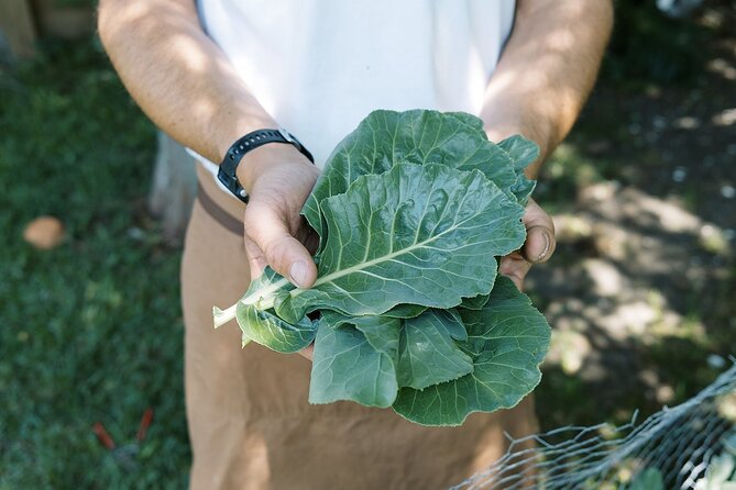 Private New Orleans Cajun Cooking Class with a Local Courtland - Price and Value: Why $64 Can Feel Fair for What You Get