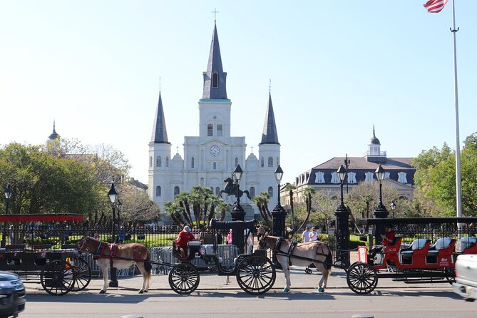 Private New Orleans City and Cemetery Bus Tour Up to 24 People - Group size and the private-bus comfort factor