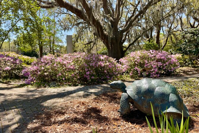 Private New Orleans Historical Sightseeing Tour with Hotel Pickup - Uptown and St Charles Avenue: getting a fast, usable feel for the Garden District