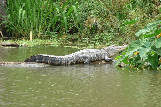 Private Tour of the Honey Island Swamp - Getting to Slidell’s West Pearl River and the Boat Setup