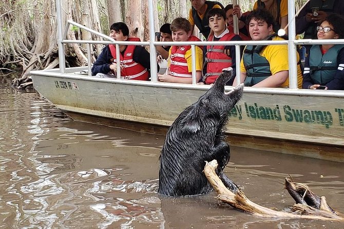 Private Tour of the Honey Island Swamp - Price and Value: Paying $650 for a Private Group Ride