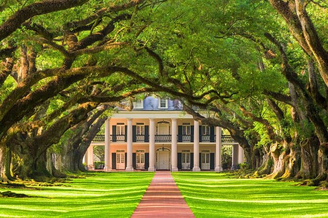 Small Airboat and Oak Alley Plantation Tour from New Orleans - How the day flows: pickup at 8:00, back around 4:45